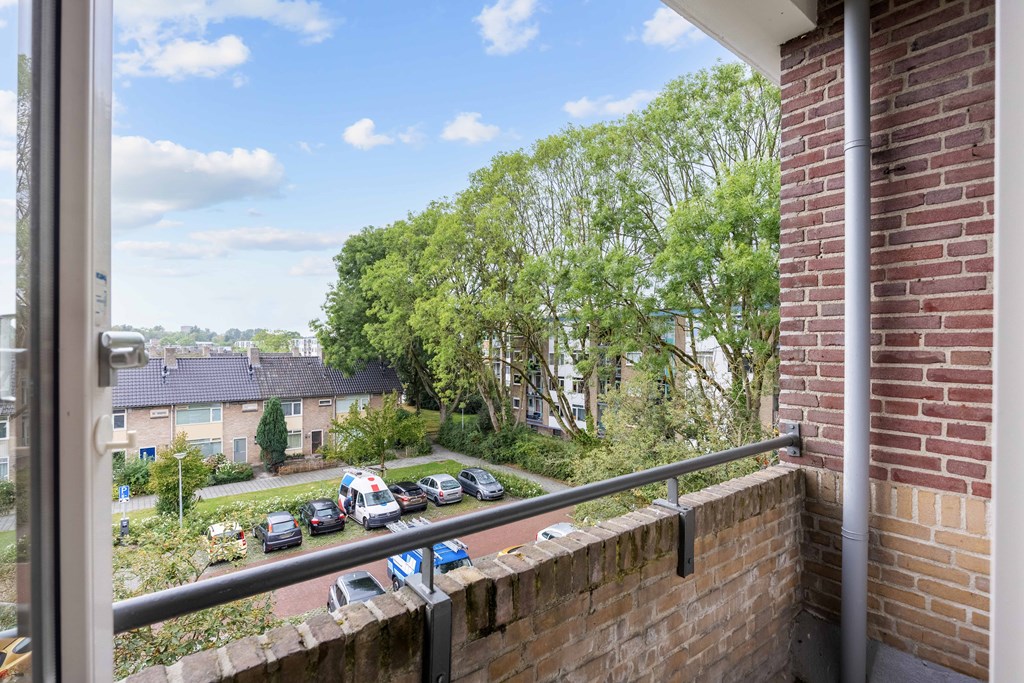 Property 29