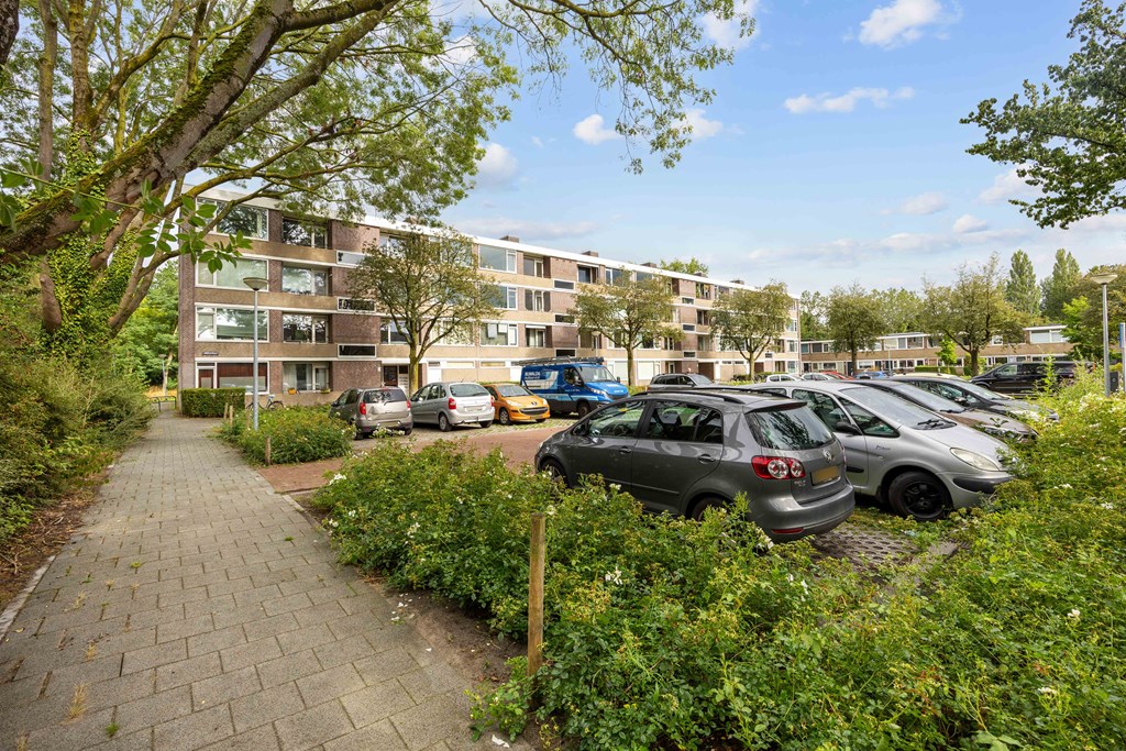 Property 35
