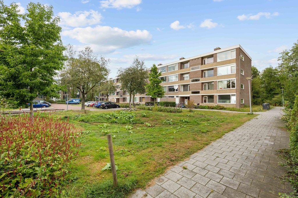 Property 37
