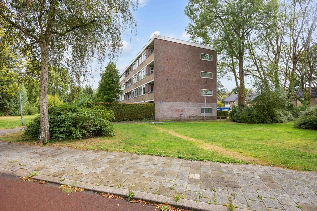 Property 38