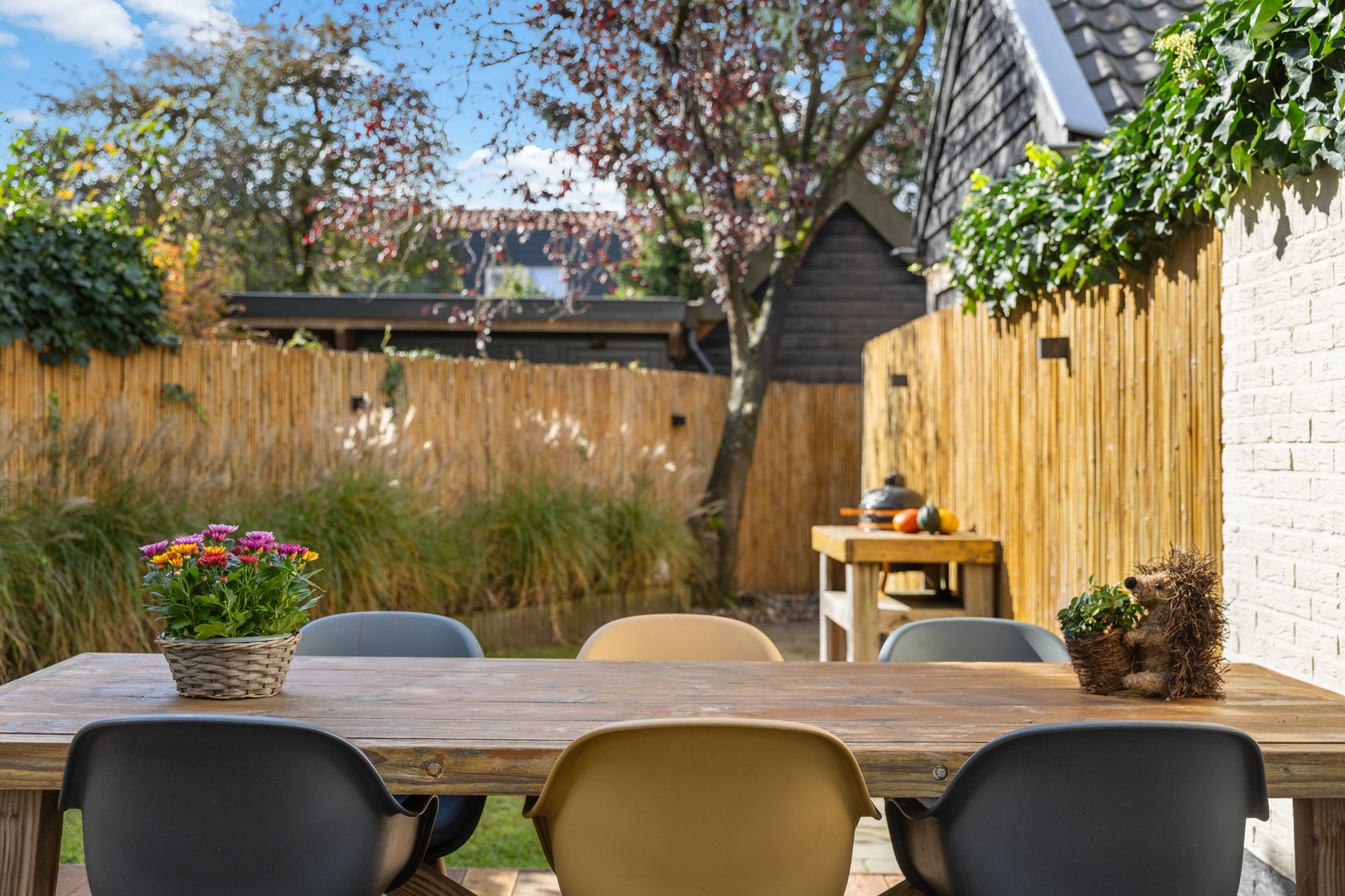 Property 50