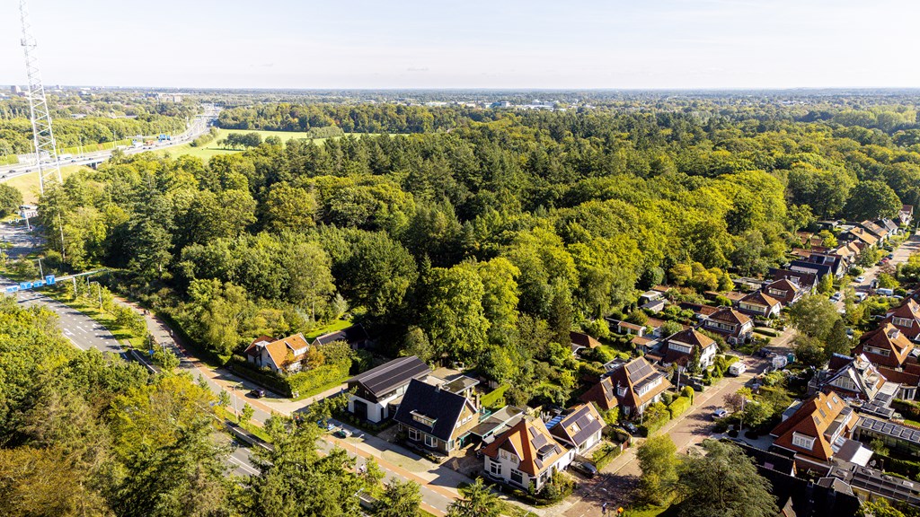 Property 38