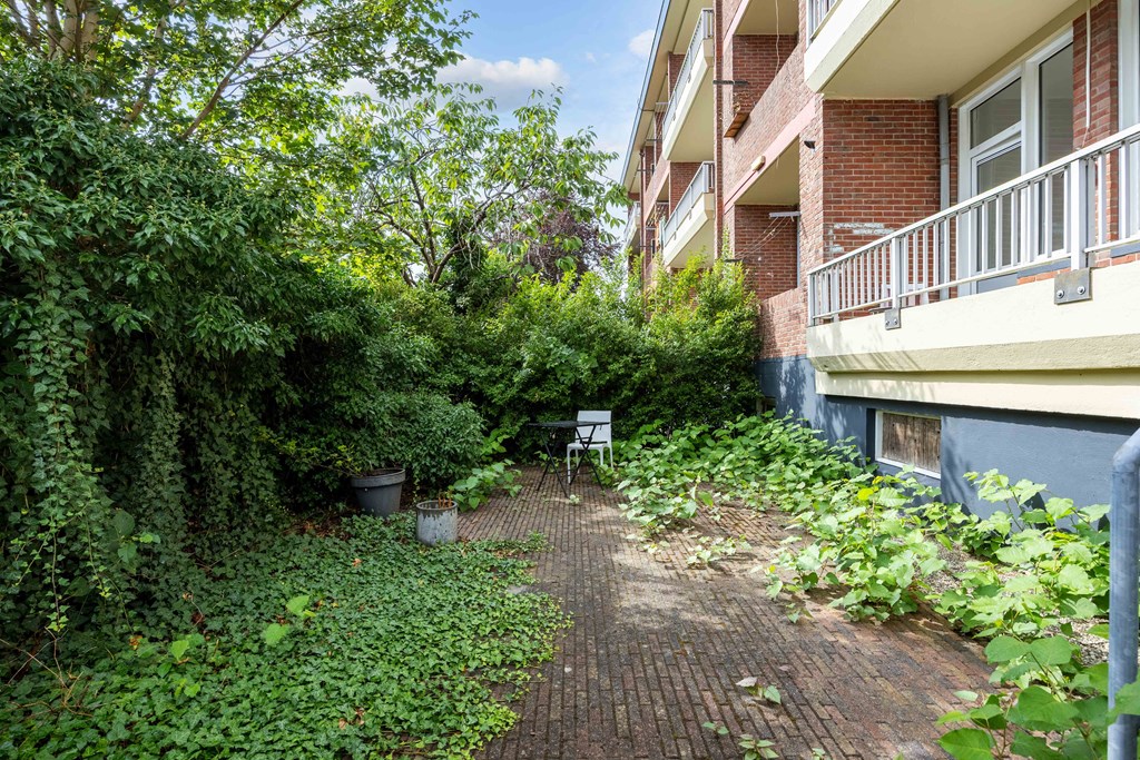Property 37