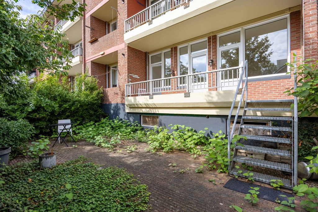 Property 38