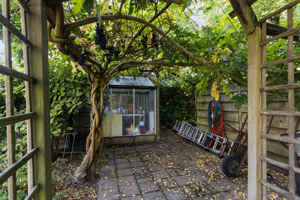Property 25