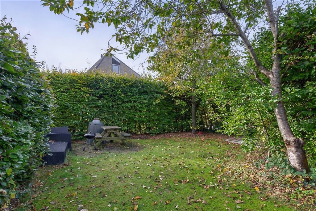 Property 31