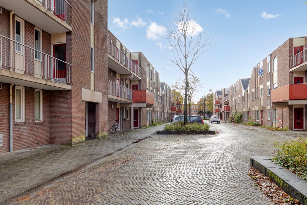 Property 29