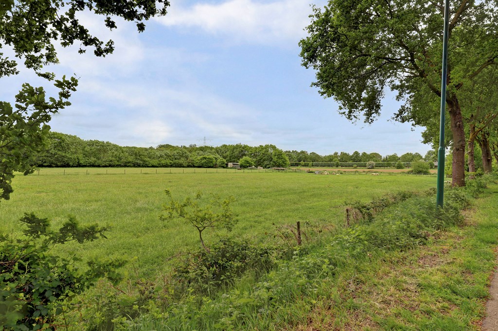 Property 54