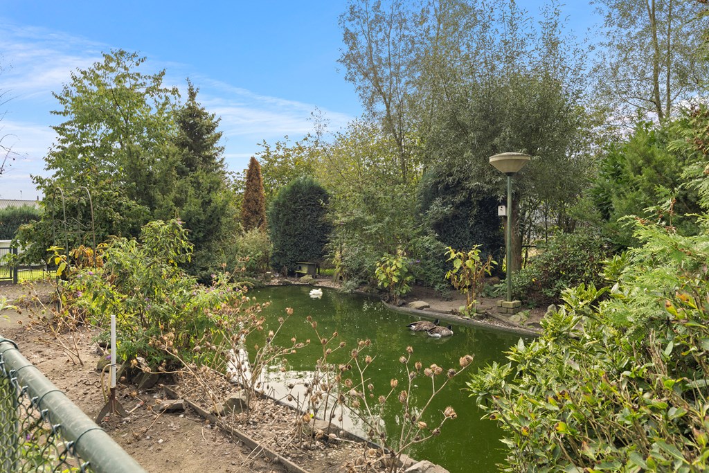 Property 50