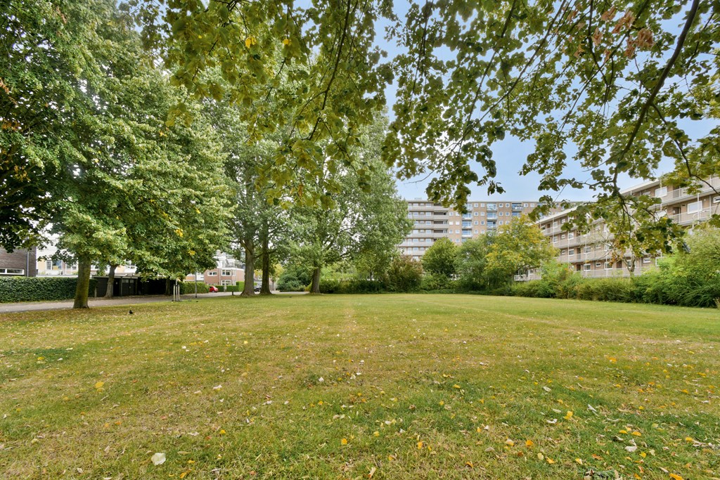 Property 26