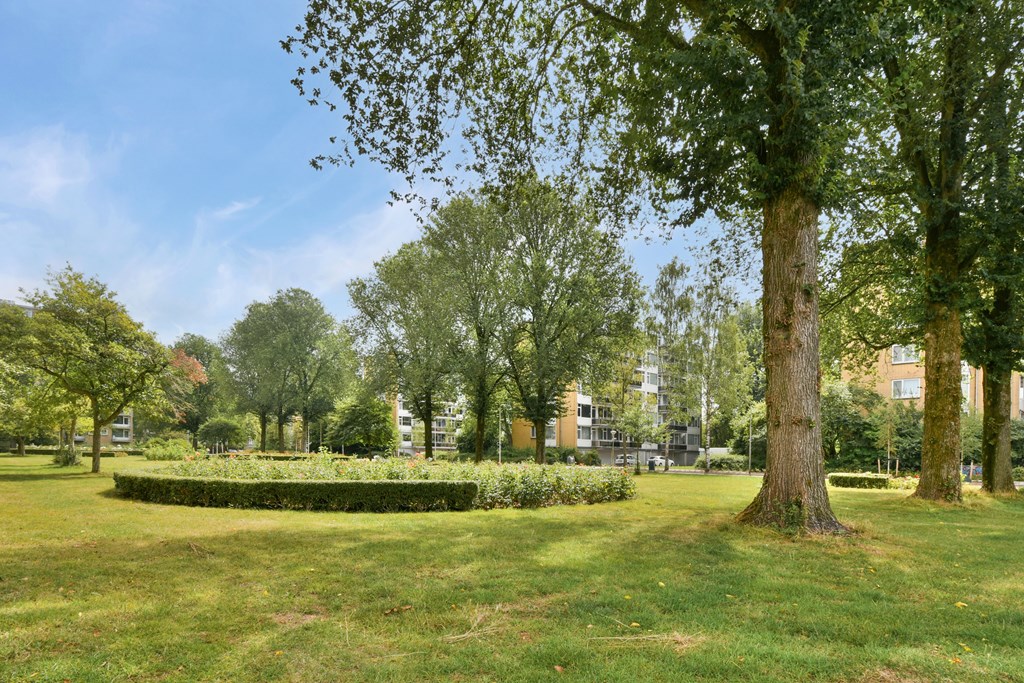 Property 27