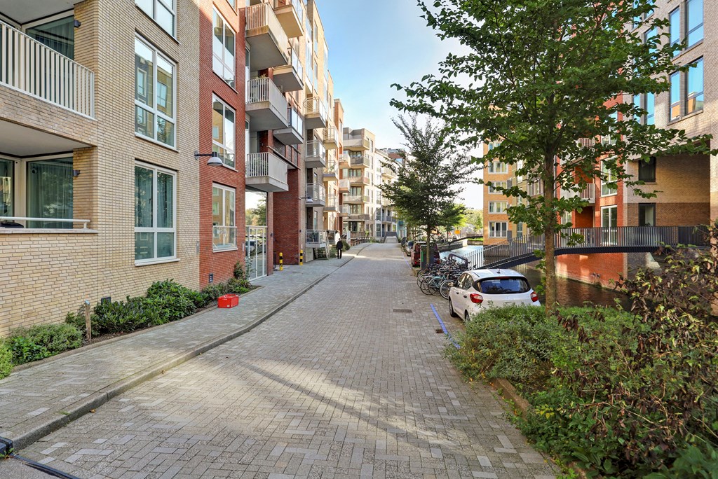 Property 38