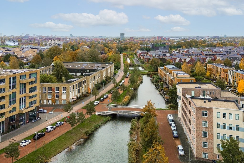 Property 38