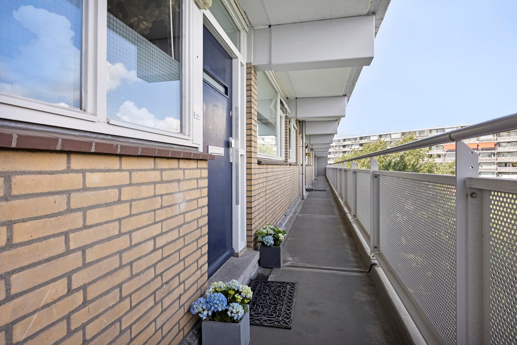Property 11