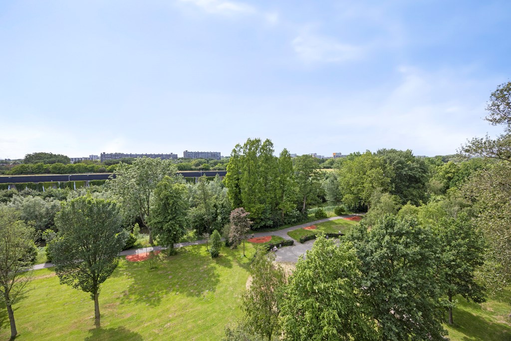 Property 35