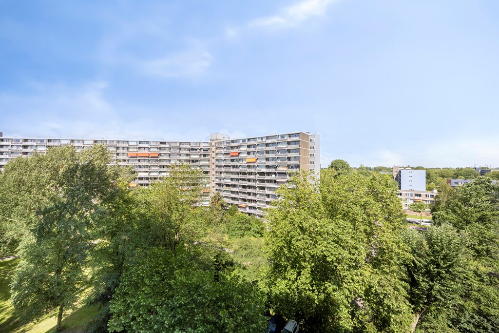 Property 37