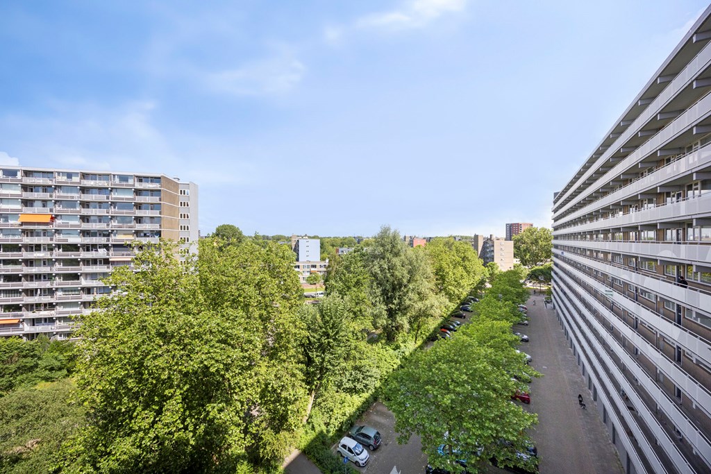 Property 6