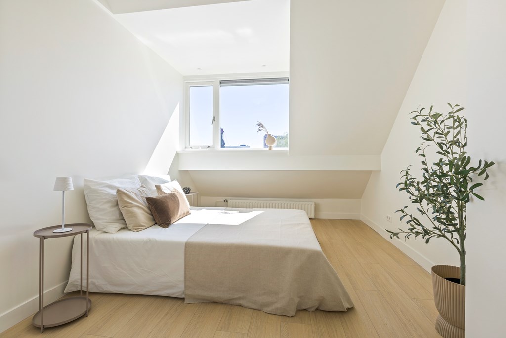 Property 33