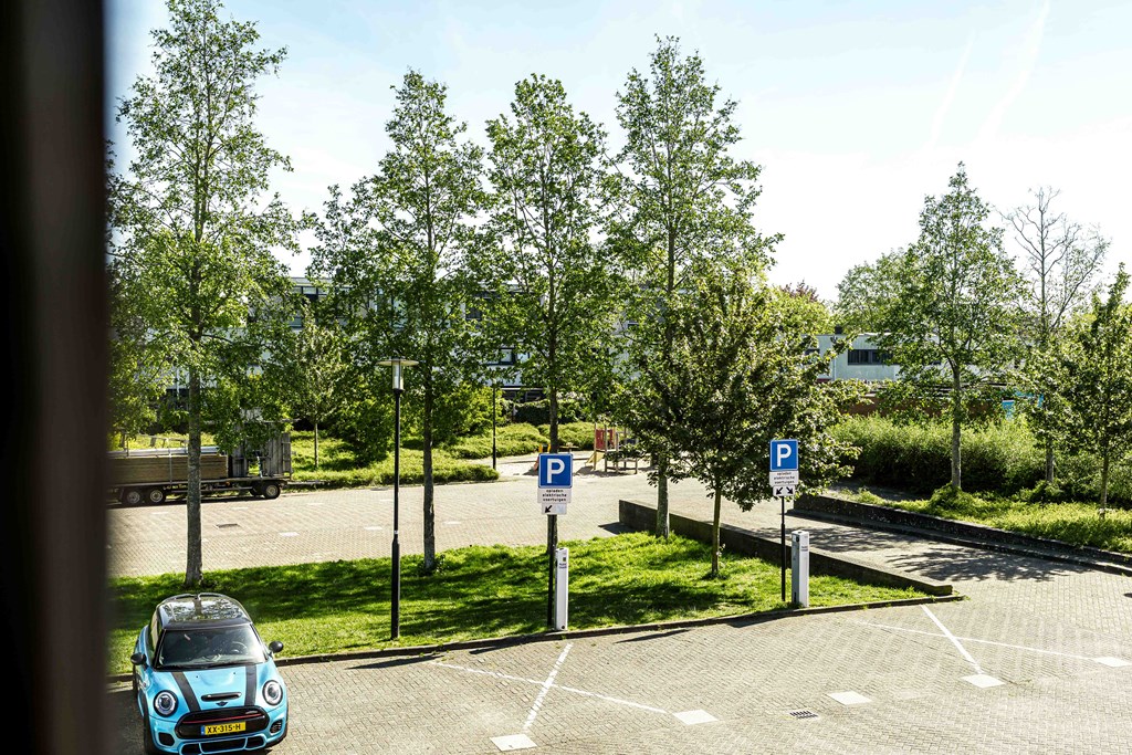 Property 24