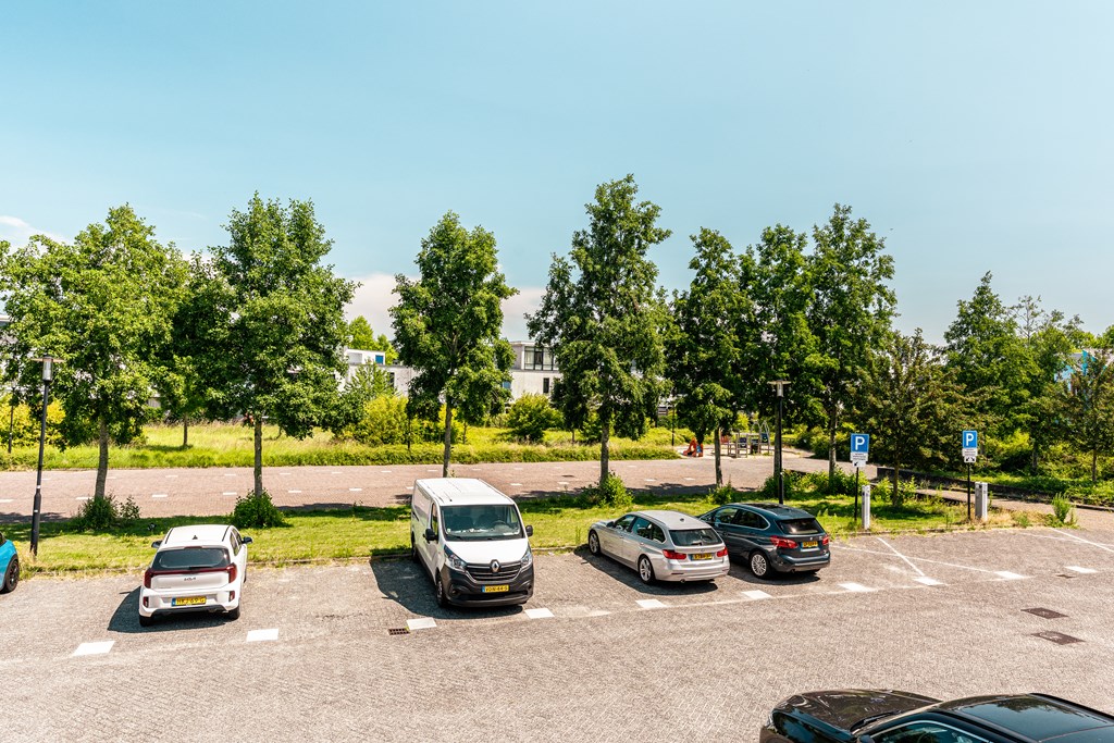 Property 29