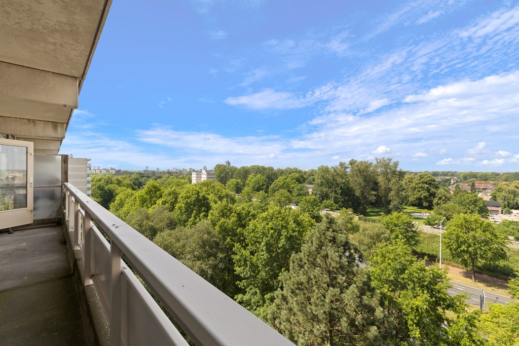 Property 39