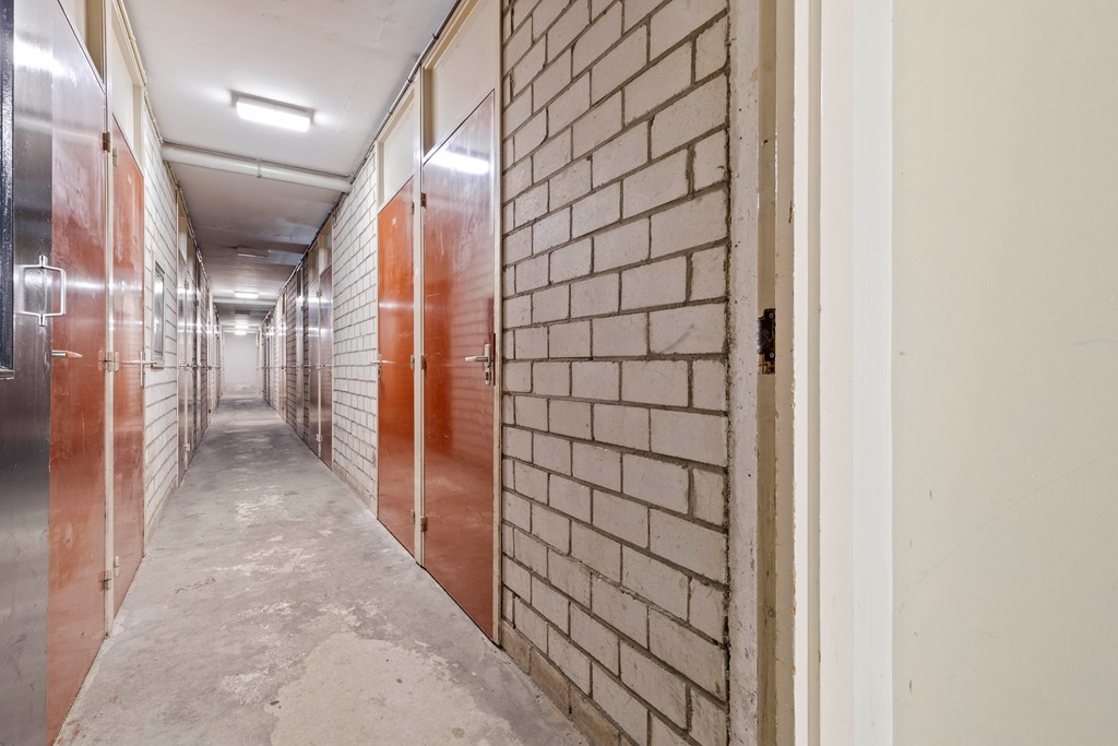 Property 41