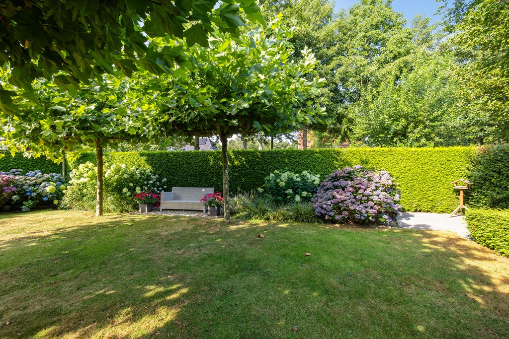 Property 37