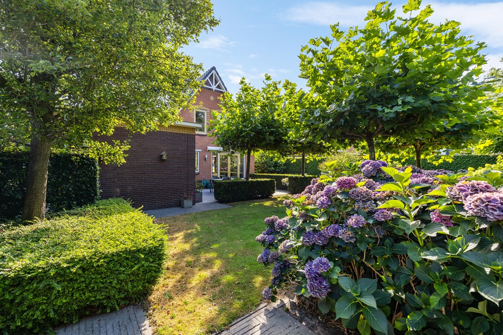 Property 38
