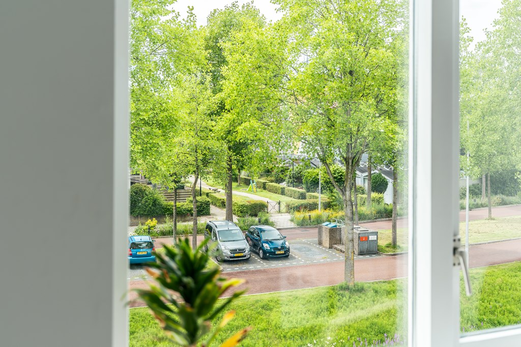 Property 33