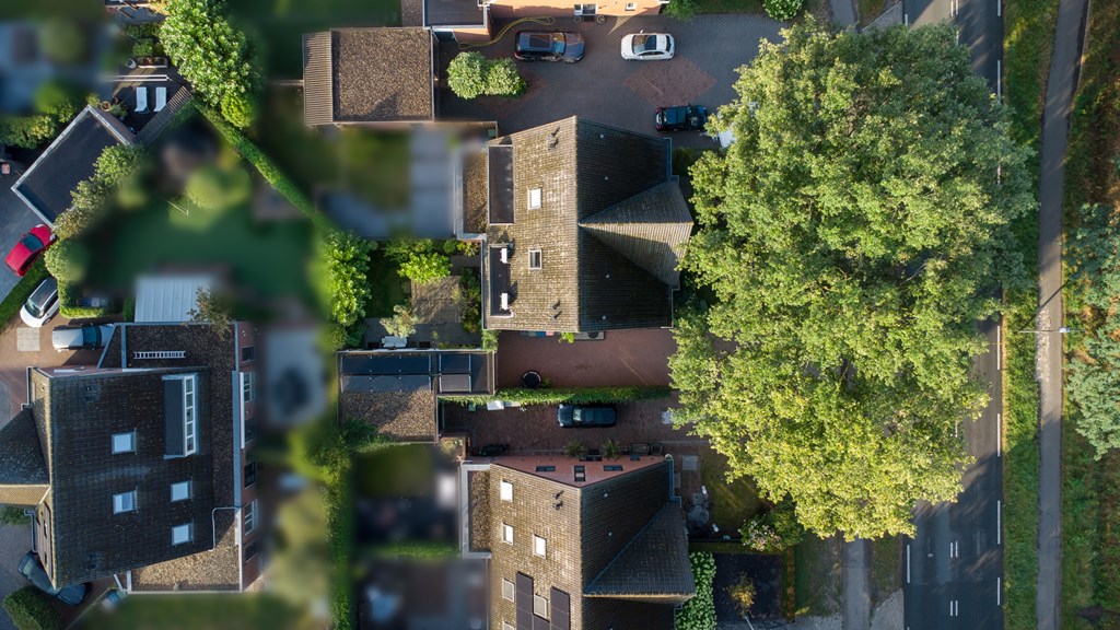 Property 38