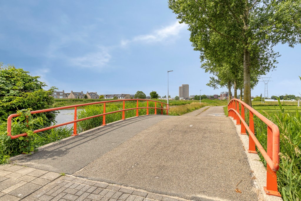 Property 36