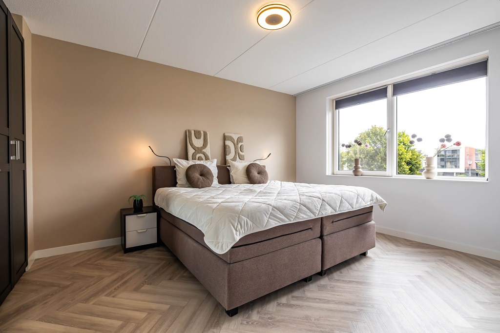 Property 38