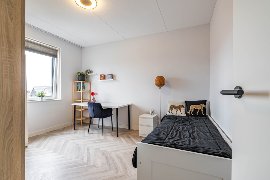 Property 51