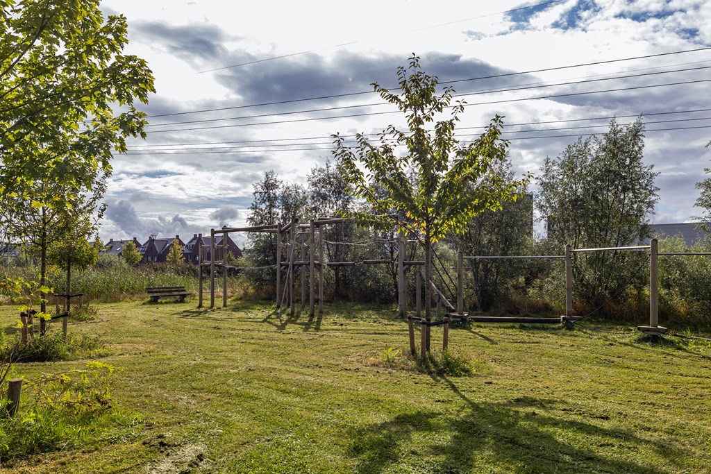 Property 62