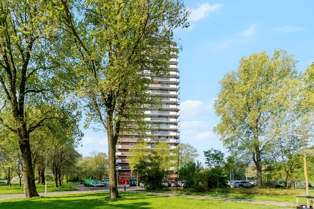 Property 34