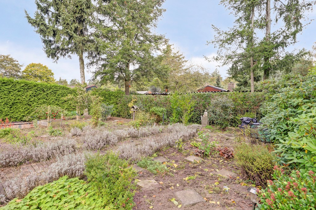 Property 29