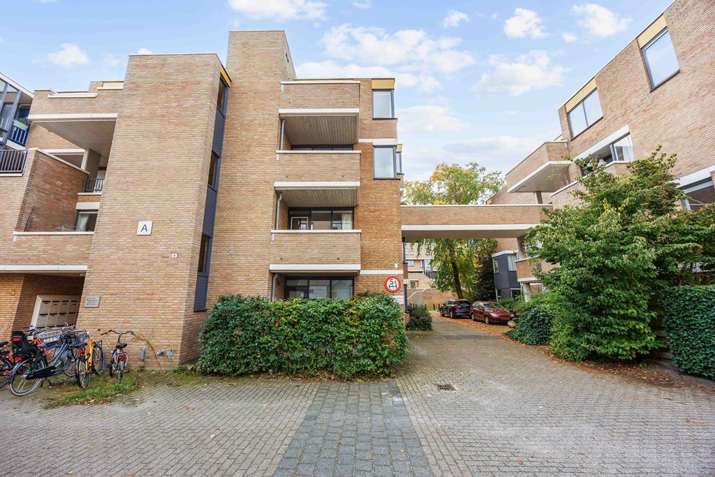 Property 29