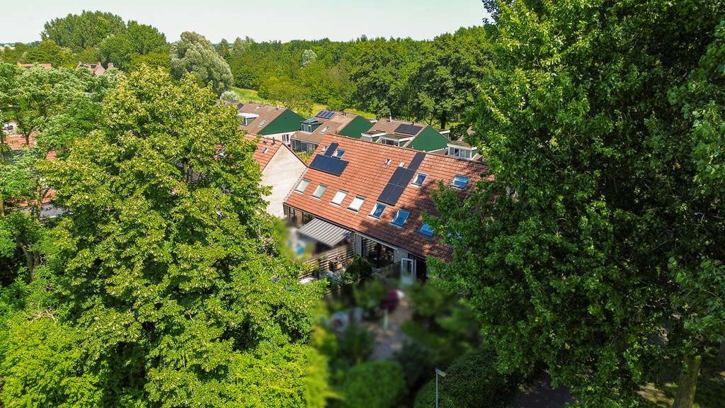 Property 50