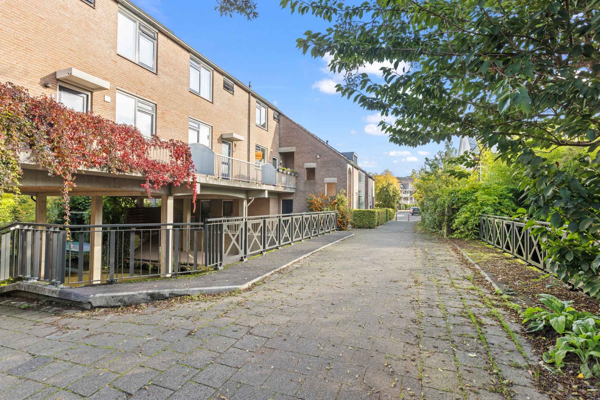 Property 50