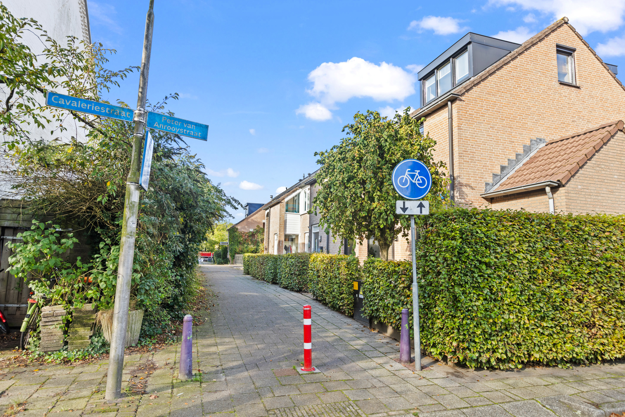 Property 52