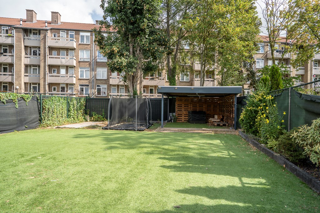 Property 36