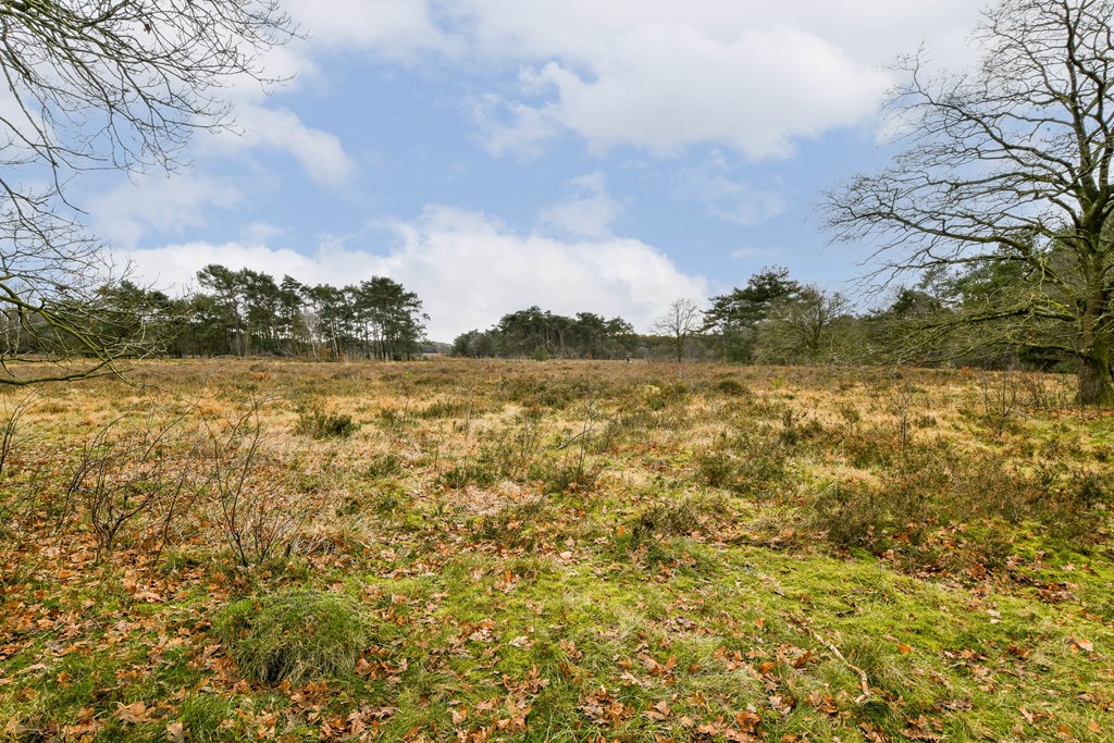 Property 24