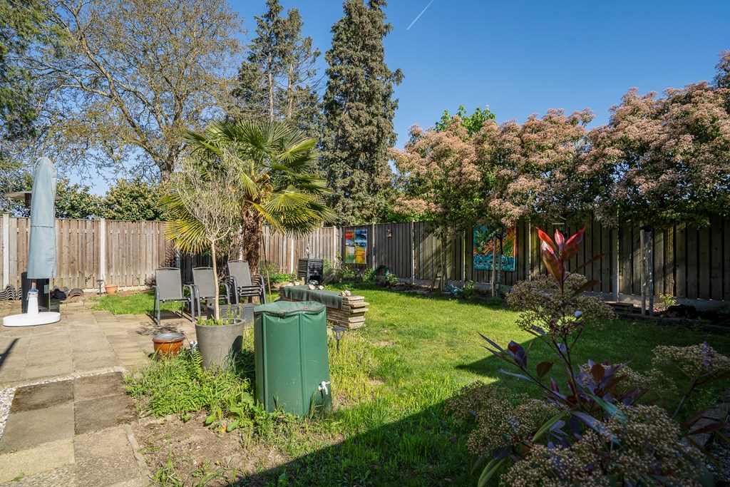 Property 36