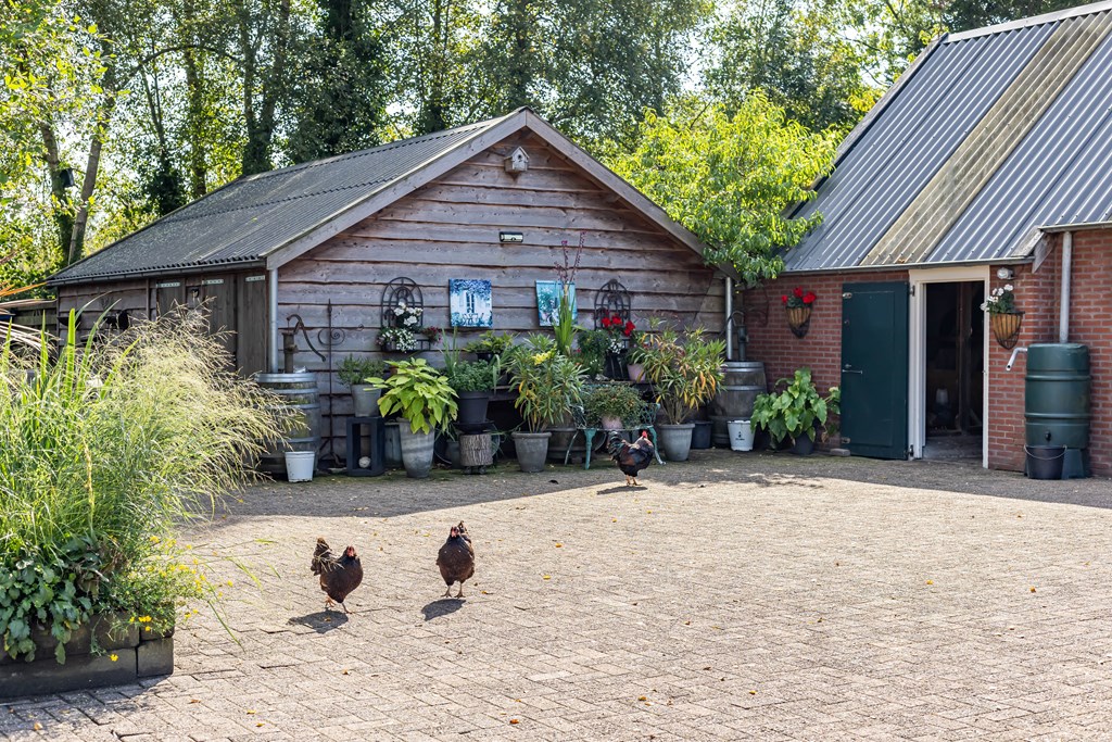 Property 62
