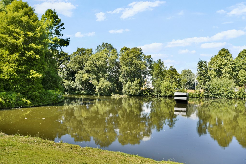 Property 29
