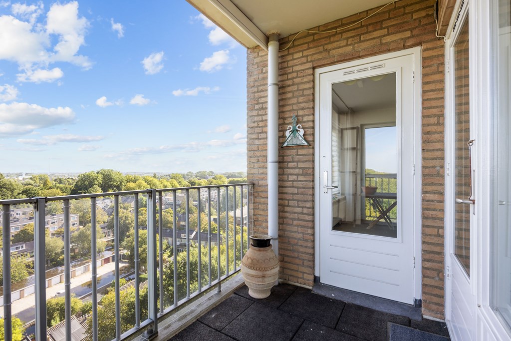 Property 29