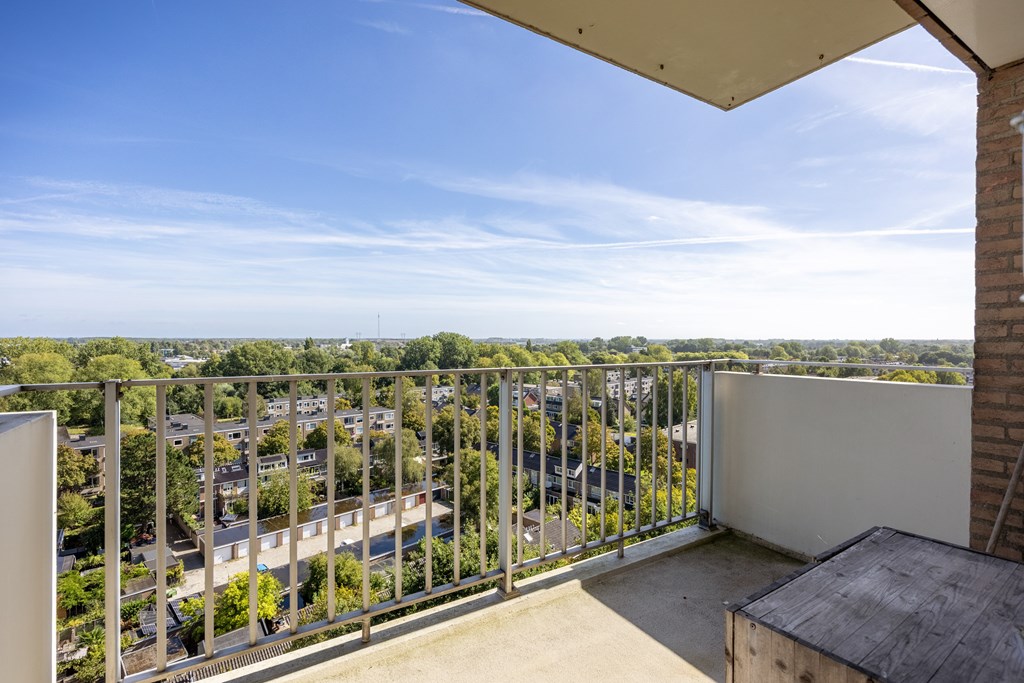 Property 33