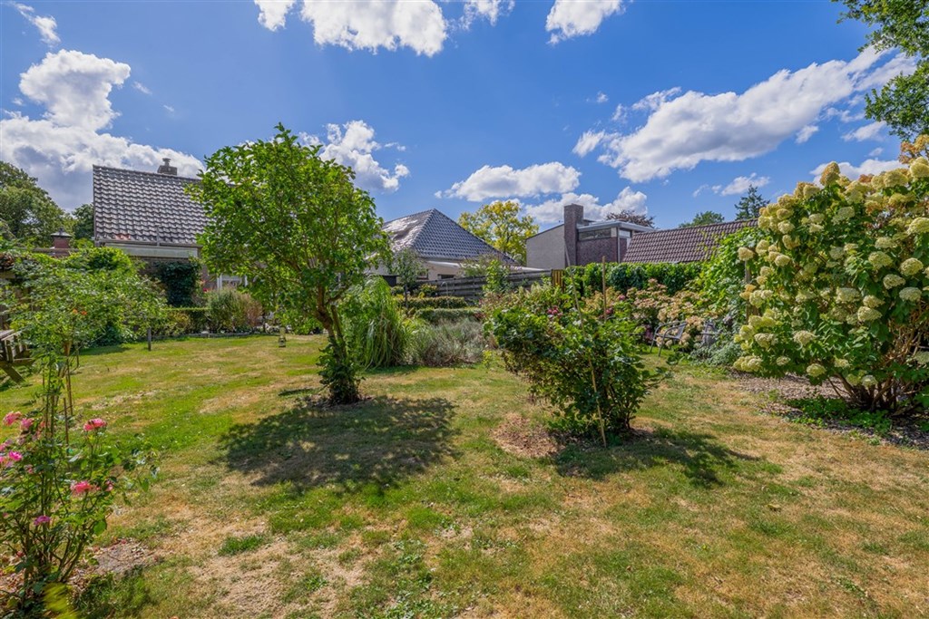 Property 31