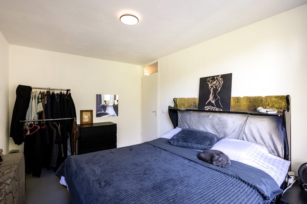 Property 29