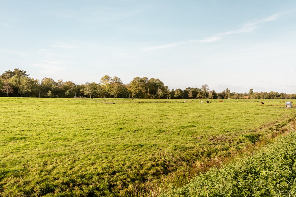 Property 53